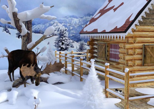 Winter is near...
.
Keywords: moose cat winter snow