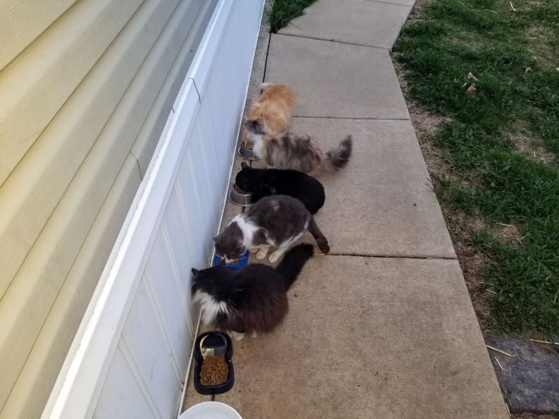 Morning Breakfast - SAOTW winner 05/17/25
