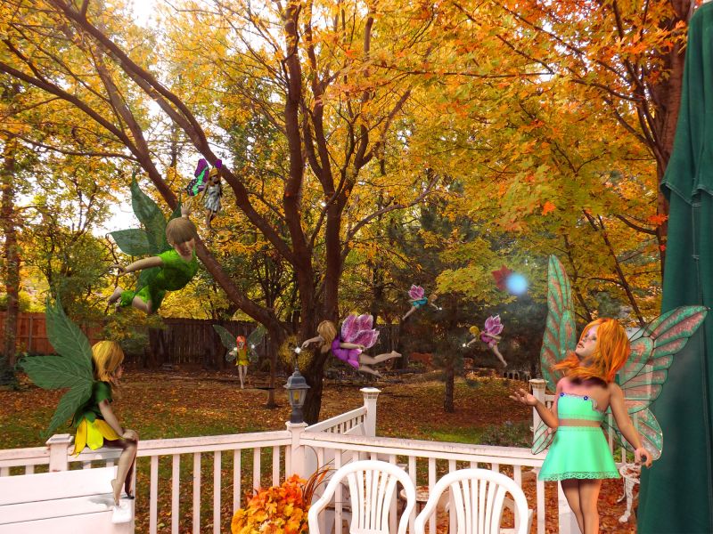 Faeries fall leaves backyard by pimanjc
