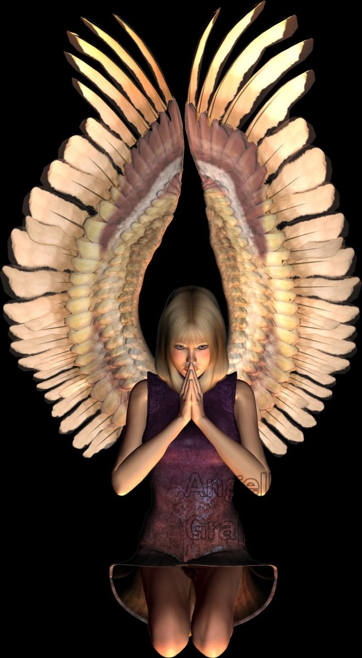 Like a Prayer
Teen angel Angelina praying 
Keywords: angel pray upturned wings