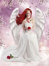 angelwhitesm.jpg