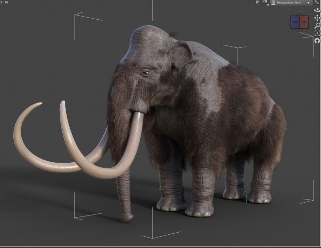 Bad Hair Day
Sometime it just doesn't go to plan Lol
Keywords: Mammoth