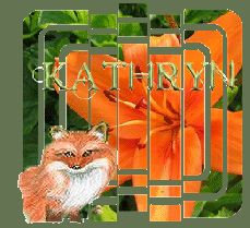 KatFox.gif