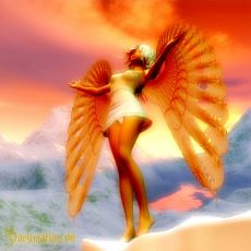 snowAngel4.jpg