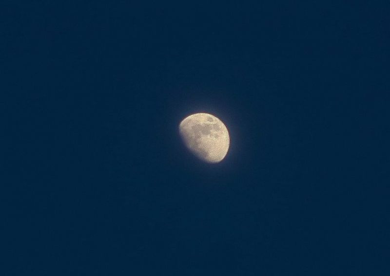 271534179_342317524404158_7215794882936588858_n
This was shot last Wednesday actually around 3pm
Keywords: moon, sky scape