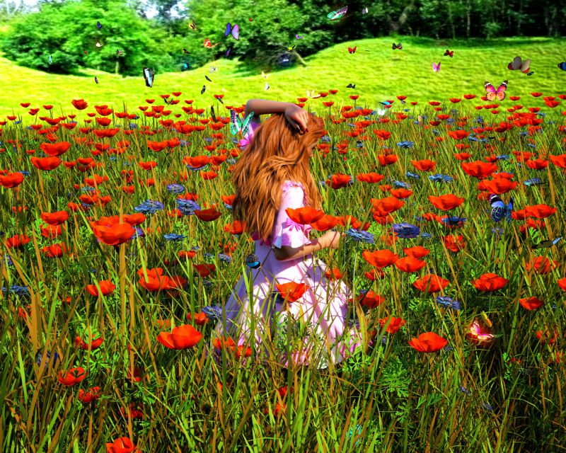 Living Color
Flowers and Blooms
