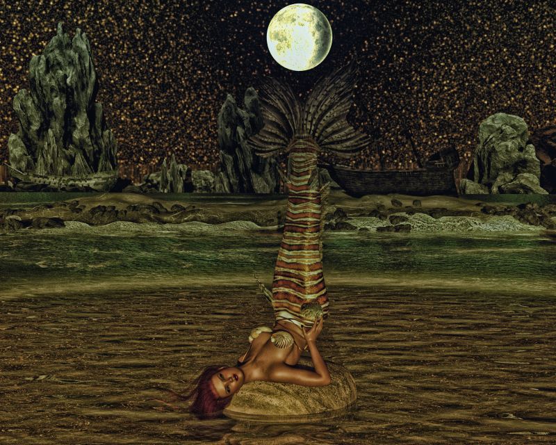 Mermaid Moon
Would not be Mermaid Cove without the Mermaid!
