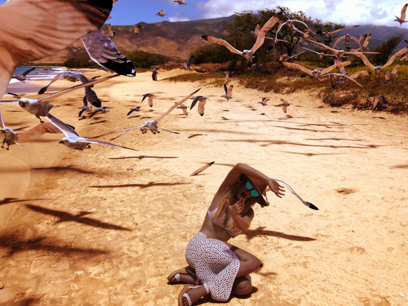 Never Feed Gulls
O.o Yep!
