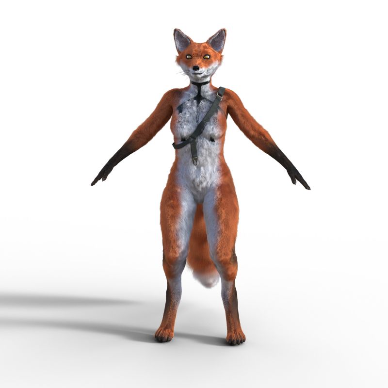 Reyna Fox
Reyna Fox
She is wearing a few belts the one in her hips is hidden by fur.
