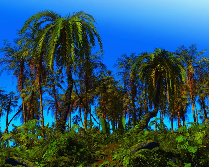 The Natural World Part 2 - AC winner 11/19/22
Yep o.o
