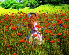 Living_Color_01a.jpg