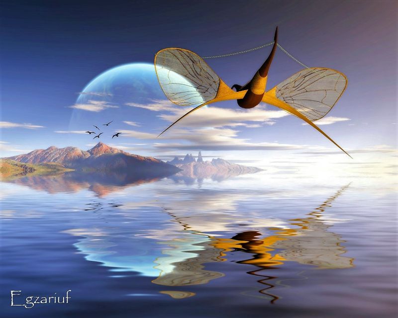 A still day beneath the sun
