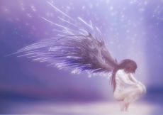 Filename=Angel-Light.jpg
Filesize=371KiB
Dimensions=1200x848
Date added=Jun 24, 2011 Angel-Light.jpg