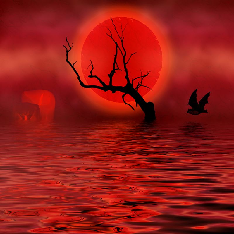 Bloody 2014
I was in an extremely angry mood and really not having a good week, so I put on the tunes for some music therapy, shut out the world and came up with this.
Keywords: halloween full moon crows candles water scene