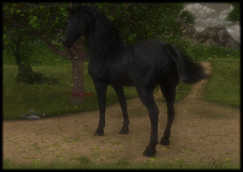 Black Horse and the Cherry Tree
I came across a place in the middle of nowhere
With a big black horse and a cherry tree

~Black Horse and the Cherry Tree by Katie Tunstall~
