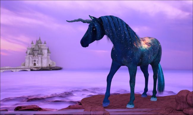 Magic Stars
HW Horse
Daz Iray
