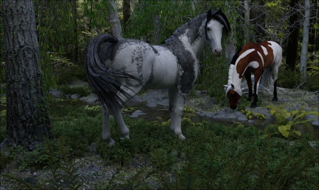 In the Forest
~TOTW Winner Wk of 8/22/20~

HW Horse
Shading to Grey: Mids
Beautiful Bays
Pinto Overlays2 (coming soon)
Daz Iray 
Keywords: TOTW Winner 8/22/20