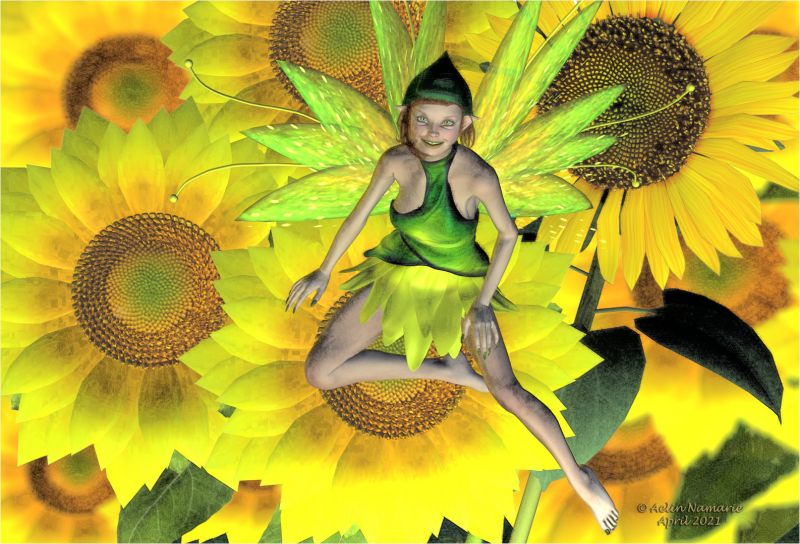 Sunflower fairy
From what I remember with this little miss, I used

Sunflower, by Avros (AFZ)
Sunflower adornment, by Merlin (Daz3d)
Kenzi, by The Laughing Lion (FRM)
should be the Lilly dress (Daz3d) with partially of my own textures.
The hat isn't for V4 usually, but maybe for K4 or a toon, I don't remember.
Wings are free ones, presently I don't remember the model.

Postwork with Fotosketcher.

