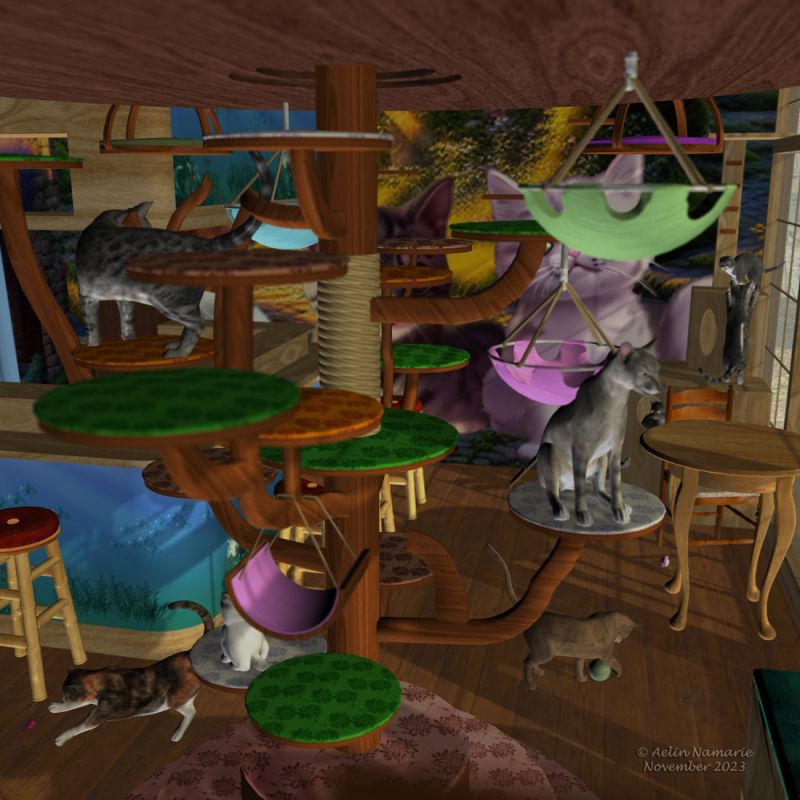 Cats' paradise
Because cats deserve the best for themselves.
