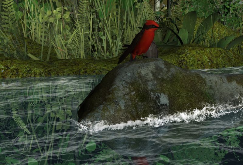 Looking at the river
Last week, I jumped into the hole: no rabbit but one of the great Ken _Gilliland's bird packs was there! (thank you the rewards)
The plants and the rock are from "Nordic forest".
The river plans are from a pack I made years ago. But I put on the textures I made for the water in "Bath house" by Summoner. And added a move effect with brushes.

********
Songbird ReMix Cool & Unusual 2, by Ken _Gilliland (RMP)
Modular 3D Kits: Nordic Forest Kit by ShaaraMuse3D (RMP)
At the border, by Aelin (FRM exclusively)
Ron's Atmospheric Bundle, by  deviney (Daz3d)
