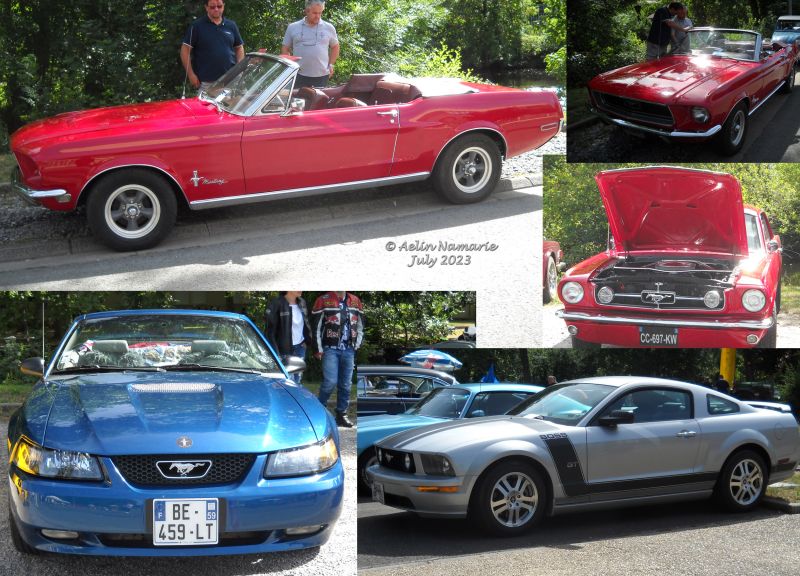 Mustang
We had five Mustangs, even twice the same model and color! I show only one of the grey ones with black stripes.
One of the red ones was always with the opened car hood.Owner wished to show the mechanic more than the car itself.
