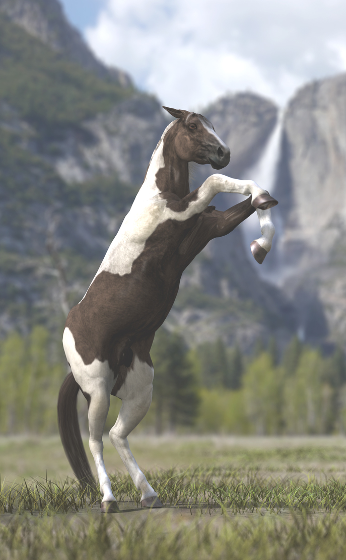 King of the Rockies
Horse rearing up in the wilds.  Uber lighting in 3delight render.
Keywords: Horse rearing up wilds King Rockies
