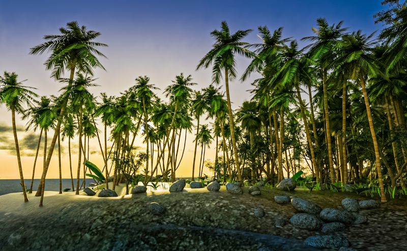 Can't Wait Until Summer
Sunrise over a tropical landscape.  
Keywords: Summer tropical landscape sunrise