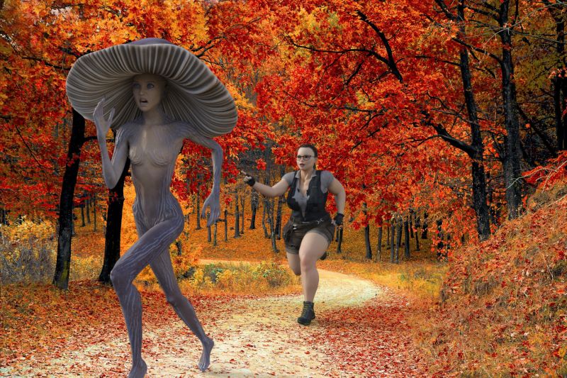 Bev cooks... - SAOTW winner 08/27/22
but didn't have any mushrooms in.
Keywords: bev,viaspora,cooking,forest,running