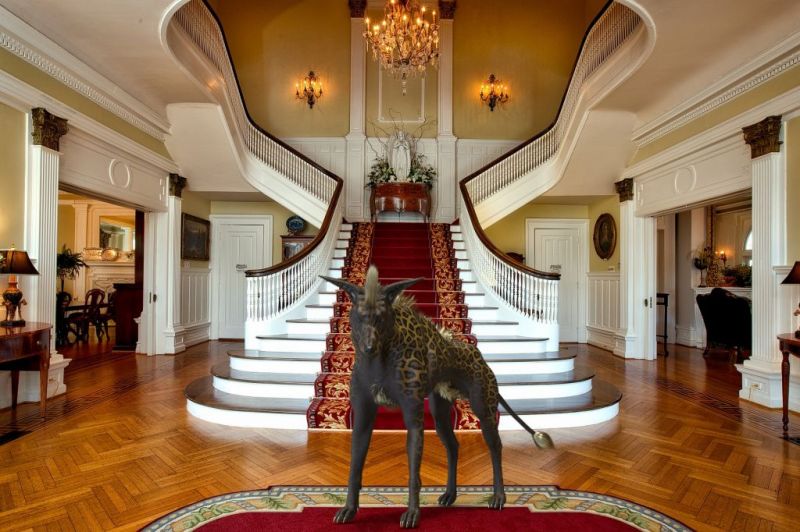 Celeste
Once in every 10th generation a Myrenax came into the world endowed with ability far beyond that of his or her peers. Celeste far exceeded many of those that came before her and was held in the greatest esteem. She had it all... intellect, physical prowess and social grace. These attributes brought fame, power, wealth and honour. Everything she did turned to gold but despite it all there was something she did not have and yearned for. When the day's business, excitement and partying ended she returned home every night to the same emptiness. Companionship, it seemed, was the one thing she lacked and it was a gaping hole in her life. No other Myrenax could fulfil the longing that ate away at her heart and soul. Talking with friends sparked an idea. What if I had a pet? something new and different I could care for? There had been an outcry about reports of the treatment of some indigenous creatures in a nearby star system and a rescue operation had been set up to help these cruelly treated beasts. That's it, she thought. I will help their efforts and adopt one of those unfortunate animals...
