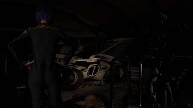 Yes, That's a Ship
1-BLACK illuminated a ship sitting in the bay.  An old, dirty, obviously unused ship that like the hanger had no power.

While the other two despaired, Albay descend the steps and went straight to the center of the rear of the ship.

Previous image is [url=http://www.thefantasiesattic.net/attic/cpg/displayimage.php?pid=37289]here[/url].  Next image is [url=http://www.thefantasiesattic.net/attic/cpg/displayimage.php?pid=37291]there[/url].
