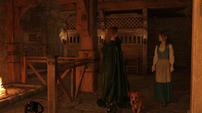 An Interrupted Statement
Lana had never even seen a high priestess before.  She knew that they had powerful magic but not what that meant.  When she had heard the thundering explosion as Ceridwyn's magic had hit the dragon it became much clearer.  She was even more uneasy than she'd been when she recognized the Earl's daughter.

"I've cleaned the room and lit its candles.  I think you'll find the room warm as I started the fire when Sean ..."

The young girl's kindness and unease broke through Ceridwyn's misery.  She said, "Thank you, Lana.  I am certain it will be a blessing."

Cróga and the Inn's cats decided that they would guide the operation.

Next image is [url=https://www.thefantasiesattic.net/attic/cpg/displayimage.php?pid=42577]here.[/url] Previous image is [url=https://www.thefantasiesattic.net/attic/cpg/displayimage.php?pid=42570]there.[/url]

Story starts at [url=https://www.thefantasiesattic.net/attic/cpg/displayimage.php?pid=42512]this image.[/url]
