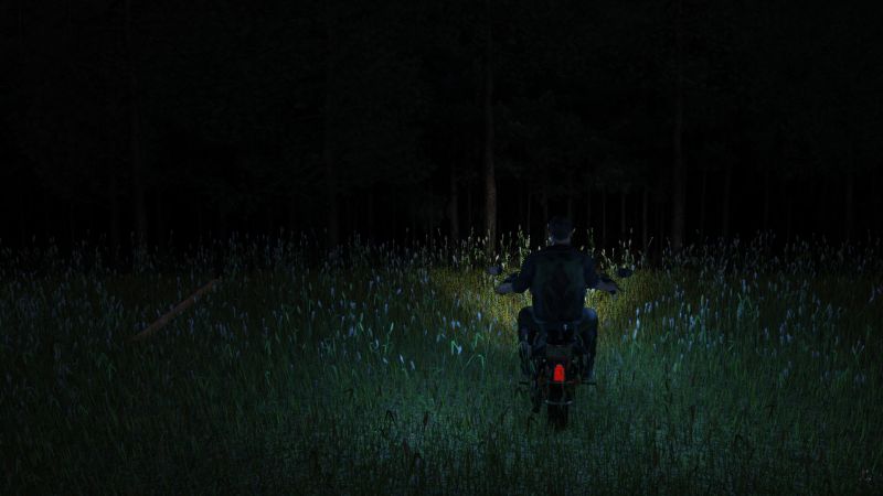 Lost?
Driving to the spot from which he had the previous year followed a path into the woods, Mike was puzzled to find only solid pine woods.
