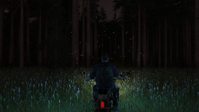 Found!
Further along he noticed fireflies and they were only at that point in the field.  There he did find a gap in the dense woods.

There was a low almost inaudible rumble from somewhere deep in the forest ahead of him.
