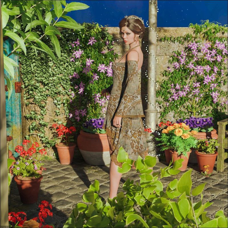 Spring night
