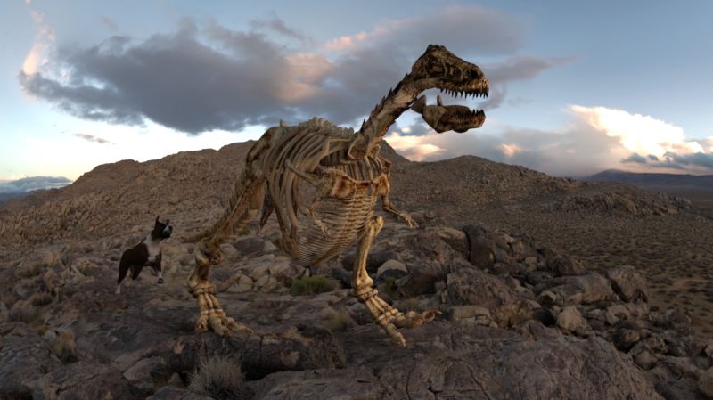 Really fast food
Poor Charlie. He just wants a nice bone but they keep running away
