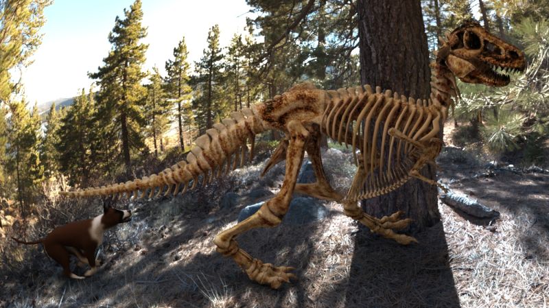 Fast food
Fuzzmutt dug up some huge, tasty looking bones , but these bones kept running away from him.  Talk about fast food.
