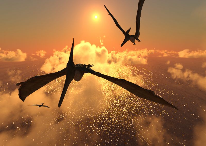 4th Place Winner~Flight of the Pterodons
A family of Pterodons flies amongst the clouds 65 million years ago
