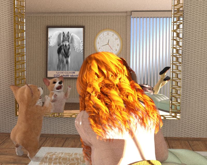 Get out of my house
Beans is mad. There is a strange dog in his house and he wont leave.
