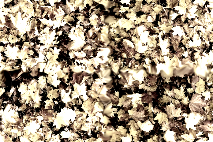 ground leaf 3v1 _opacity v2
