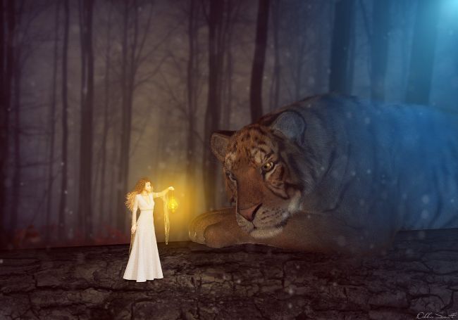 Charmed by Light
I could not find a Animal section or Fantasy for everything section sorry if it is in the wrong place I hope you like it :)
