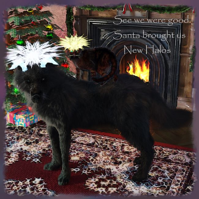 Good for Christmas
Lets see how long they last 
