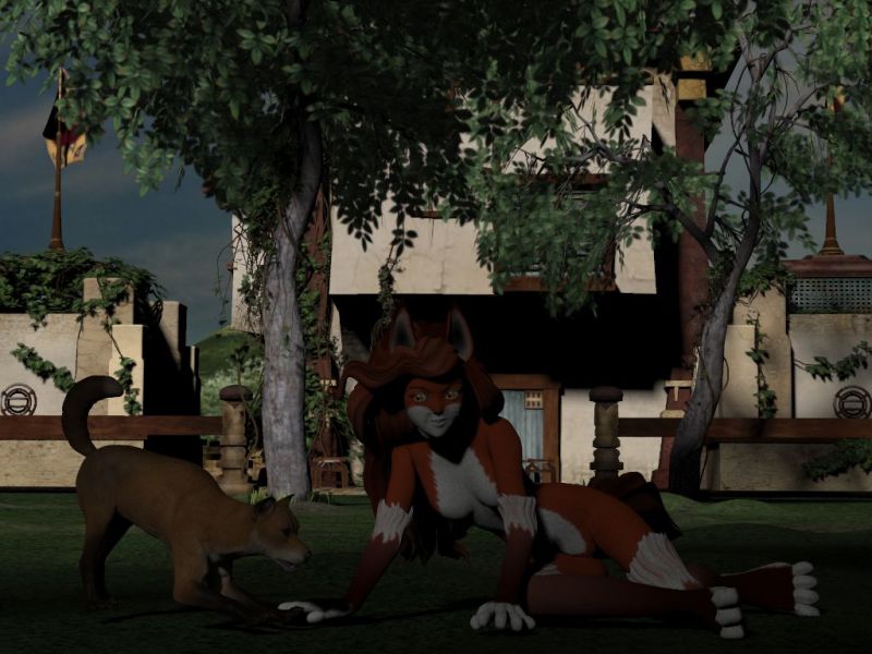 Fox n Vixen FF
Just cause sometimes you need a smile.
