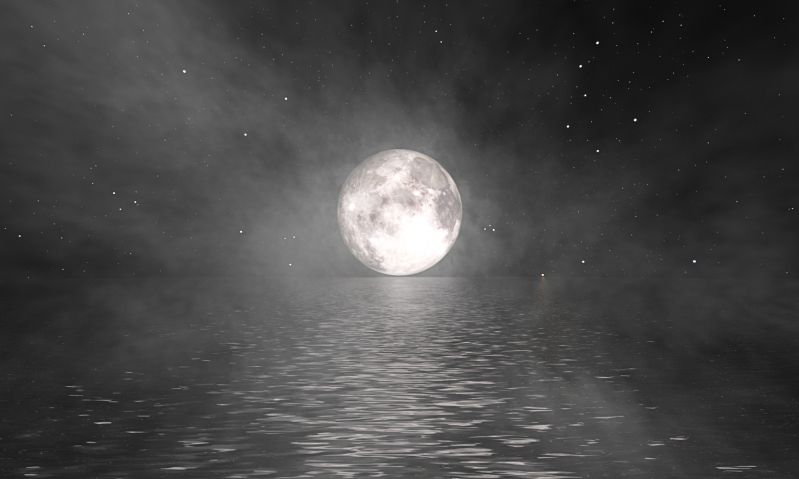 Moonlight
Let's swim to the moon
Let's climb through the tide
