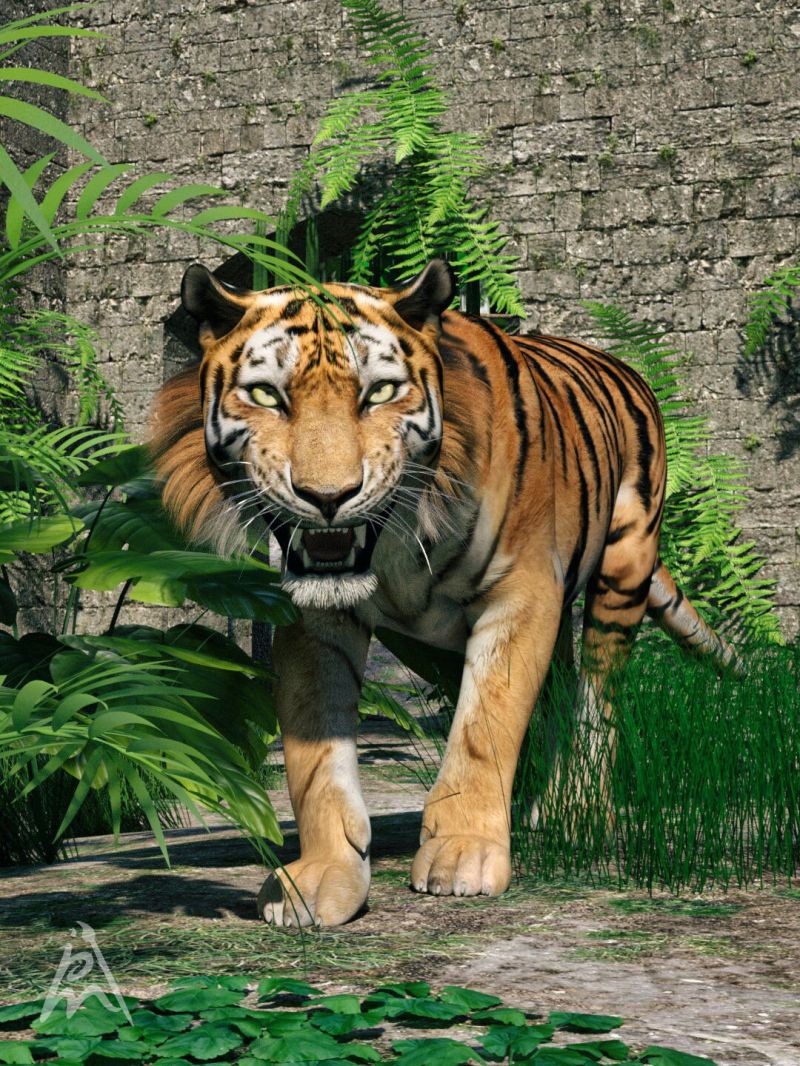 Tiger in the Ruins - SAOTW winner 05/31/25
The tiger is sneaking around in the ruins.
Oh, oh! Maybe he didn't see us.

Tom Tiger is the best-looking tiger for Daz Studio.
Sadly, I can't render the tiger with fur, not enough memory.

Items used:
Tom Tiger for DAZ Studio by Vyusur (RenderHub)
Ruins In The Forest by JeffersonAF (RenderHub)
Keywords: tiger sneaking ruins forest
