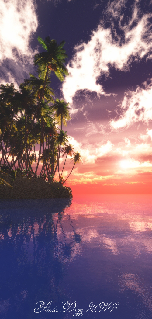 Tropical Dreams
